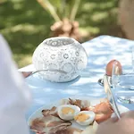 Hypnos Boutique Hotel San Teodoro (Sardinia)